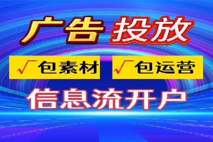SEM服务公司成功案例解读